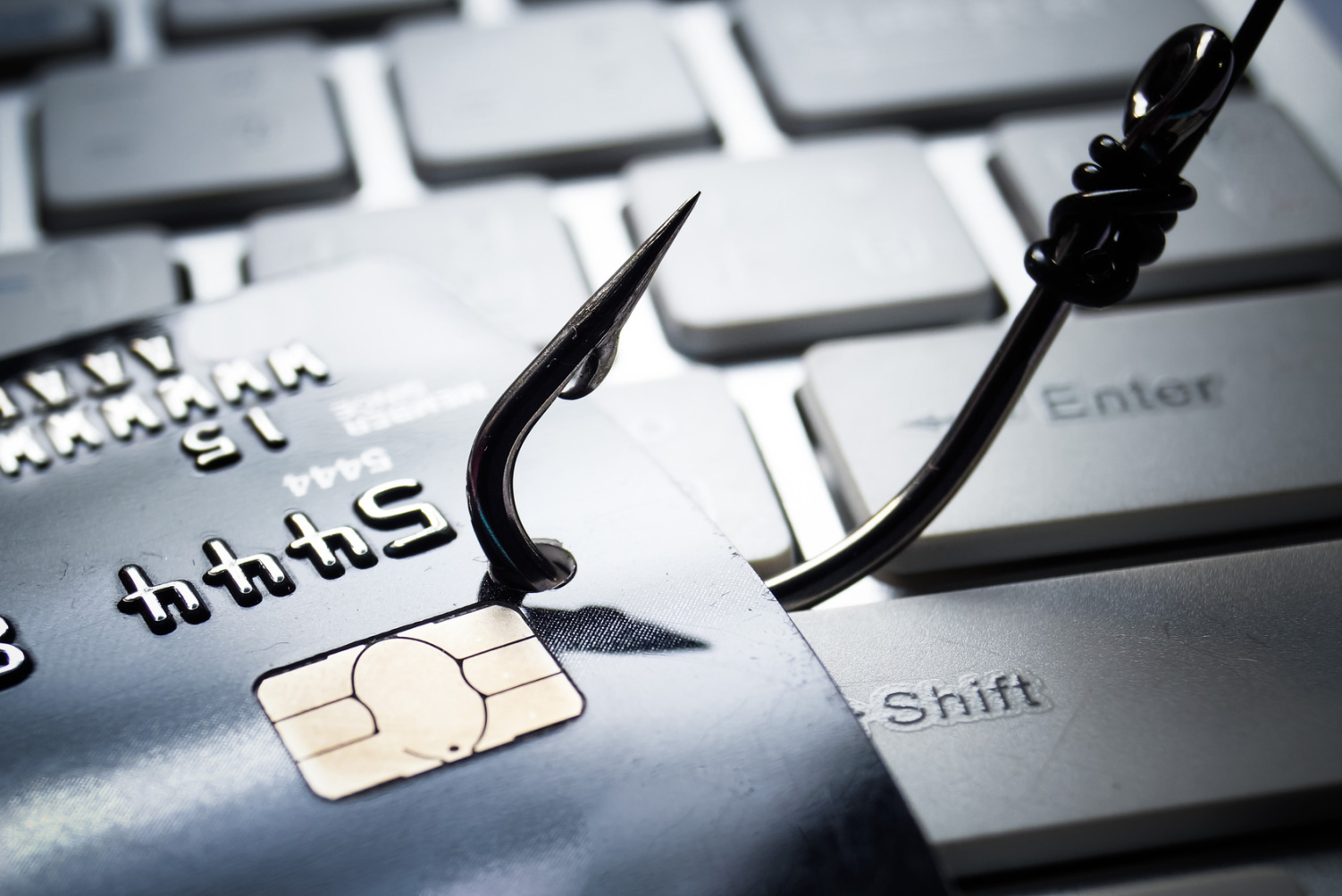 Data Phishing; Detektei Hamburg, IT-Spezialist Hamburg, Detektiv Hamburg
